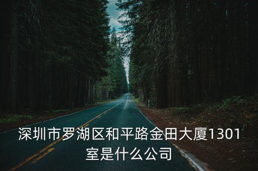 深圳市羅湖區和平路金田大廈1301室是什么公司