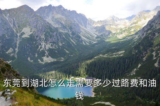 湖北人到東莞隔離費用誰出，有誰知道從東莞到湖北廣水開車要多少高速費用啊