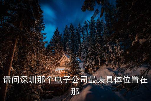 請問深圳那個電子公司最大具體位置在那