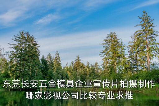 東莞長安五金模具企業宣傳片拍攝制作哪家影視公司比較專業求推