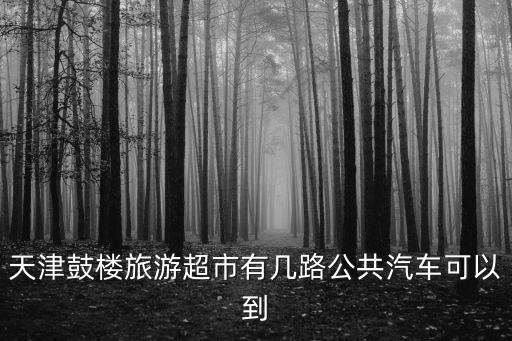 天津鼓樓旅游超市有幾路公共汽車可以到