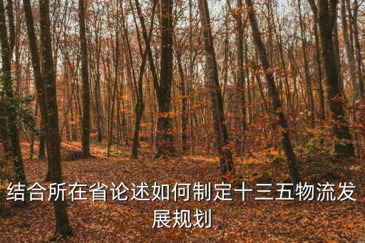 結合所在省論述如何制定十三五物流發展規劃