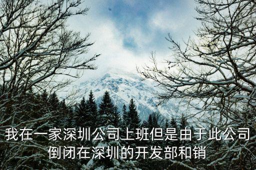 我在一家深圳公司上班但是由于此公司倒閉在深圳的開發部和銷