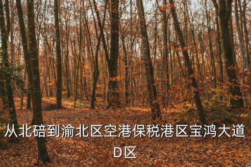 從北碚到渝北區空港保稅港區寶鴻大道D區