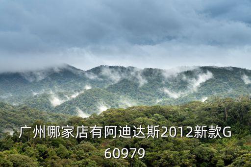 廣州哪家店有阿迪達斯2012新款G60979