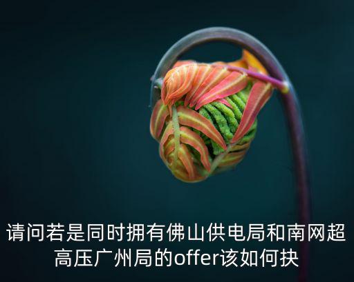 請問若是同時擁有佛山供電局和南網超高壓廣州局的offer該如何抉