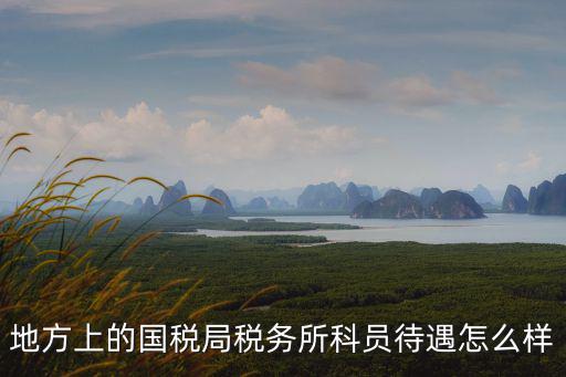 地方上的國稅局稅務所科員待遇怎么樣