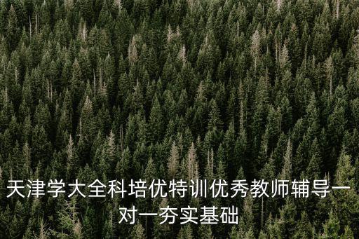 天津?qū)W大全科培優(yōu)特訓(xùn)優(yōu)秀教師輔導(dǎo)一對一夯實基礎(chǔ)