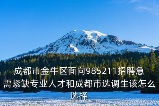 成都市金牛區面向985211招聘急需緊缺專業人才和成都市選調生該怎么選擇