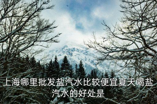 上海哪里批發(fā)鹽汽水比較便宜夏天喝鹽汽水的好處是