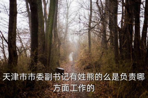 天津市市委副書記有姓熊的么是負責哪方面工作的