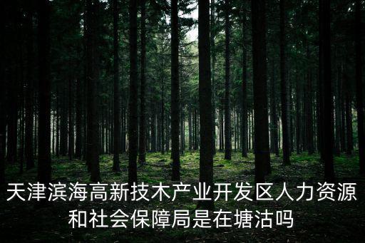 天津?yàn)I海高新技木產(chǎn)業(yè)開(kāi)發(fā)區(qū)人力資源和社會(huì)保障局是在塘沽嗎