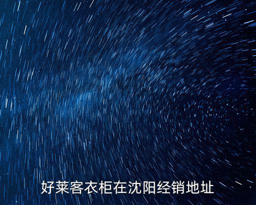 好萊客衣柜在沈陽經銷地址