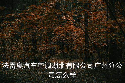 廣州花都法雷奧招工，花都法雷奧工廠招工說明