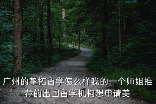 廣州的摯拓留學(xué)怎么樣我的一個(gè)師姐推薦的出國(guó)留學(xué)機(jī)構(gòu)想申請(qǐng)美