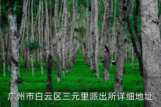 廣州市白云區三元里派出所詳細地址