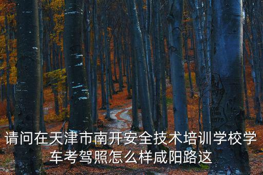 請問在天津市南開安全技術培訓學校學車考駕照怎么樣咸陽路這