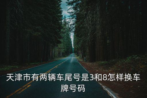 天津市有兩輛車尾號是3和8怎樣換車牌號碼