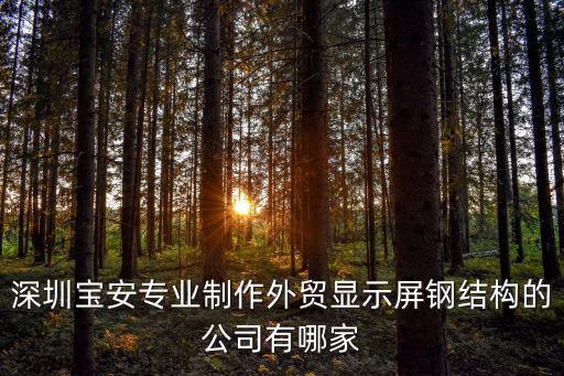 深圳寶安專業(yè)制作外貿(mào)顯示屏鋼結(jié)構(gòu)的公司有哪家