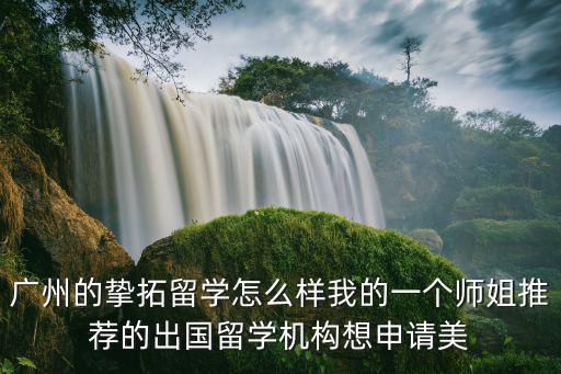廣州的摯拓留學(xué)怎么樣我的一個(gè)師姐推薦的出國(guó)留學(xué)機(jī)構(gòu)想申請(qǐng)美