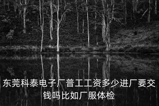 東莞N泰塑膠電子，東莞塘廈有那幾家塑膠電子廠在那個位置