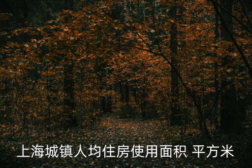 上海城鎮人均住房使用面積 平方米