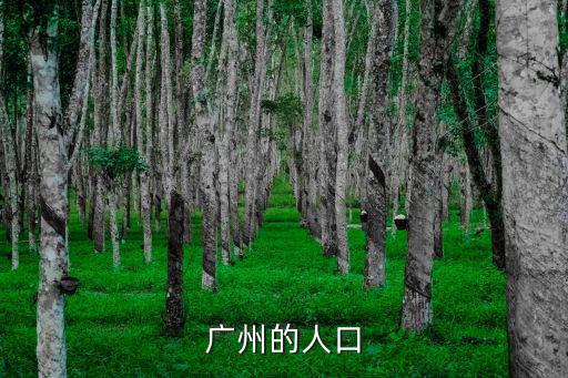 廣州的人口