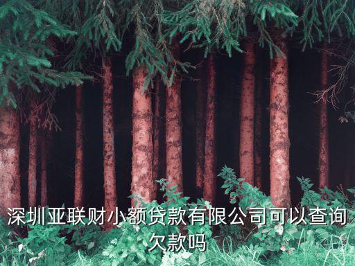 深圳亞聯財小額貸款有限公司可以查詢欠款嗎