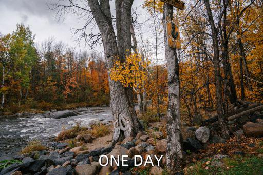 ONE DAY
