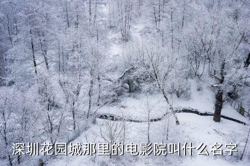 深圳花園城那里的電影院叫什么名字