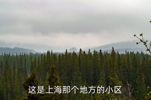 這是上海那個地方的小區