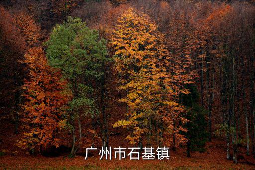 廣州市石基鎮(zhèn)
