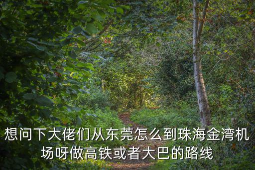東莞如何到珠海機場大巴車票，想問下大佬們從東莞怎么到珠海金灣機場呀做高鐵或者大巴的路線