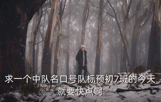 求一個中隊名口號隊標預初7班的今天就要快點啊