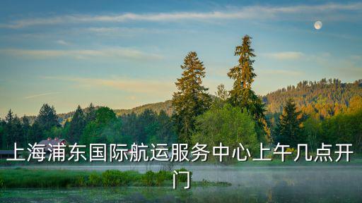 上海市浦東新區航運辦，上海浦東國際航運服務中心上午幾點開門
