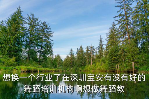 想換一個行業了在深圳寶安有沒有好的舞蹈培訓機構啊想做舞蹈教