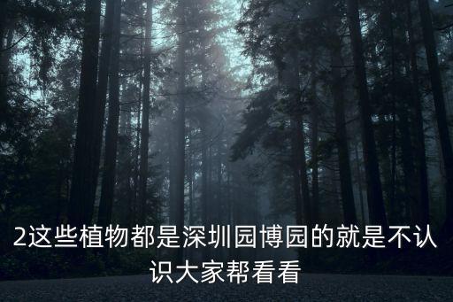 2這些植物都是深圳園博園的就是不認識大家幫看看