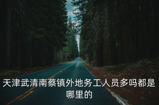 天津市武清區南蔡鎮，想知道 天津市 從武清站到南蔡村鎮北商村村委會怎么坐公交 有公交