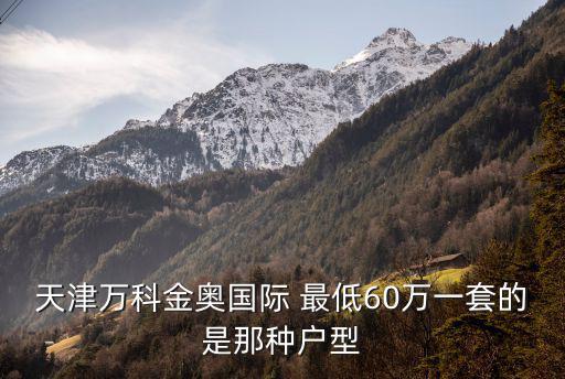天津萬科金奧國際 最低60萬一套的是那種戶型