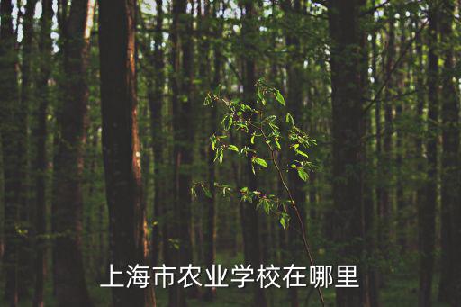 上海市農業學校在哪里