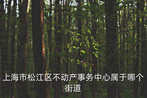 上海市松江區不動產事務中心屬于哪個街道