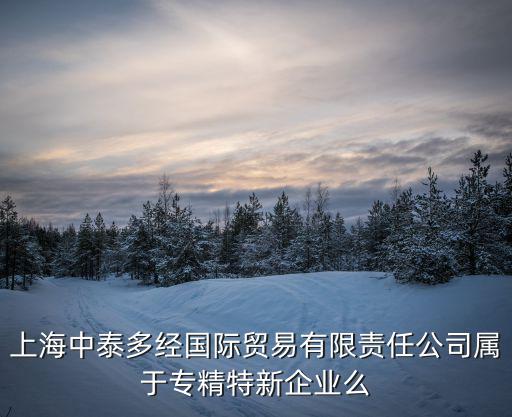 上海中泰多經國際貿易有限責任公司屬于專精特新企業么