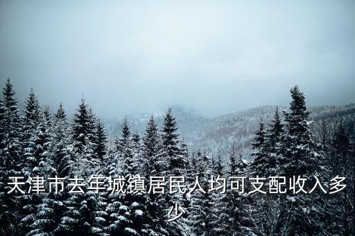天津市城鎮居民年人均消費支出標準，天津市去年城鎮居民人均可支配收入多少