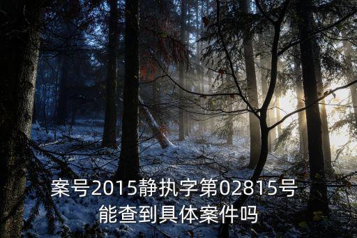 案號2015靜執字第02815號 能查到具體案件嗎