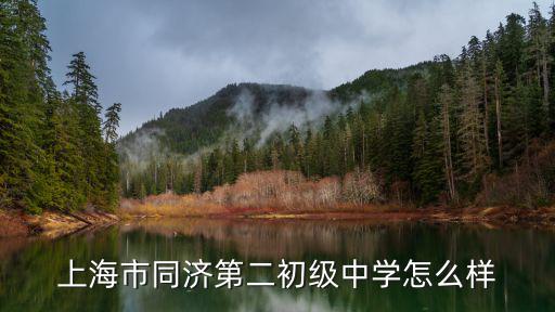 上海市同濟第二初級中學怎么樣