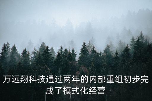 萬遠翔科技通過兩年的內部重組初步完成了模式化經營
