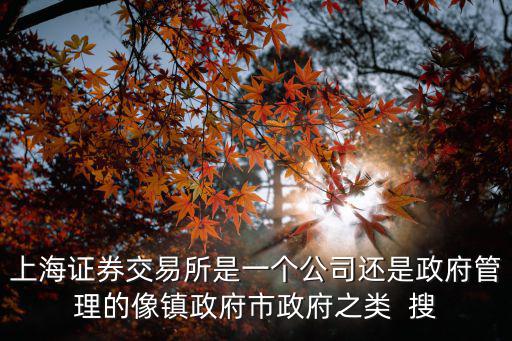 上海證券交易所是一個公司還是政府管理的像鎮(zhèn)政府市政府之類  搜