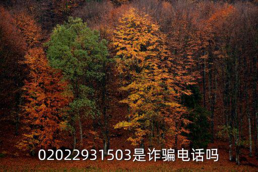02022931503是詐騙電話嗎
