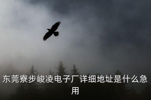 東莞寮步峻凌電子廠詳細地址是什么急用