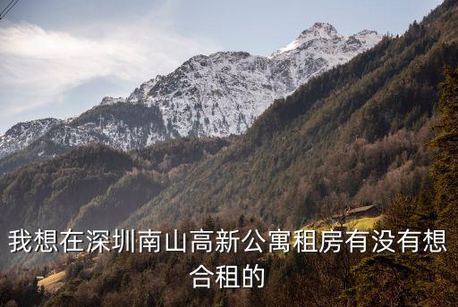 我想在深圳南山高新公寓租房有沒有想合租的